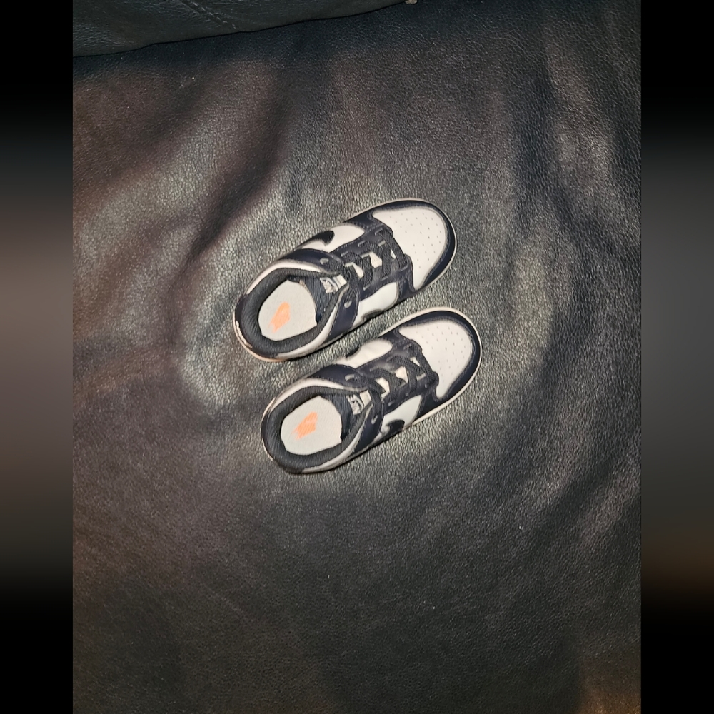 Nike Toddler kids Low Dunks, Size 8c , Navy Blue and Gray
